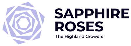 Sapphire Roses